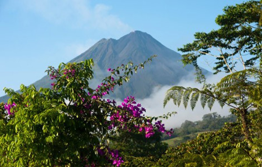 En vulkan omgiven av frodig vegetation och blommor, Arenal volcano Costa Rica.
