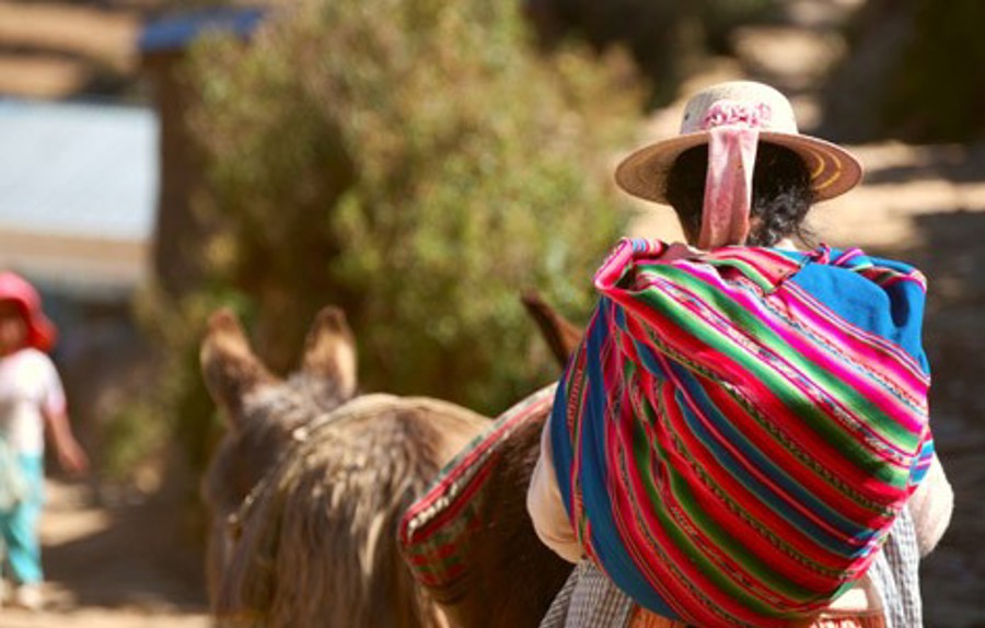 En peruansk person i Peru bär färgglada traditionella dräkter på en häst i solen