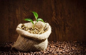 Torkade kaffebönor i en liten jutepåse