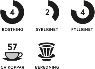 ikoner core ebony morkrost