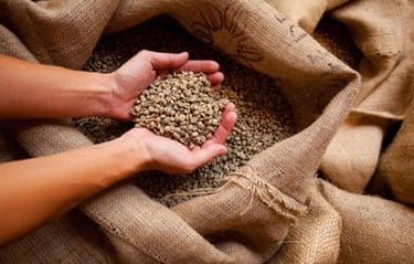 gevalia roasting