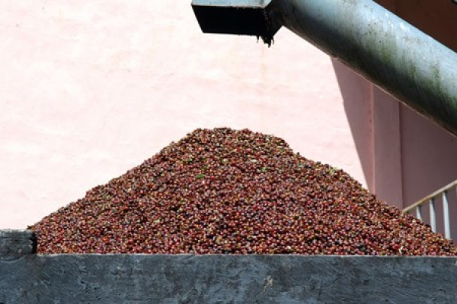 Gevalia Kaffebonor Produktion